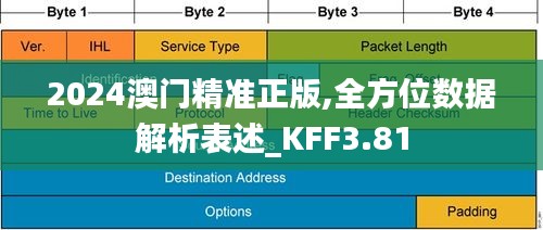 2024澳门精准正版,全方位数据解析表述_KFF3.81