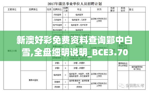 新澳好彩免费资料查询郢中白雪,全盘细明说明_BCE3.70