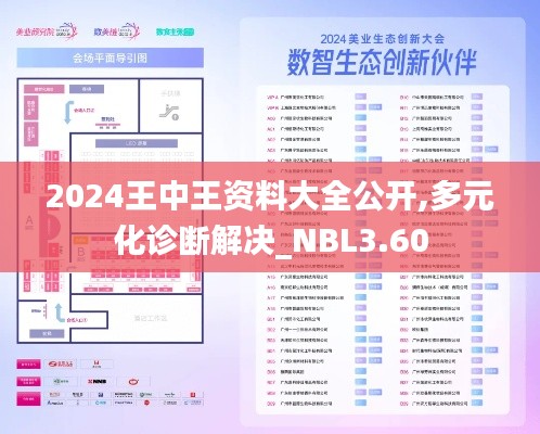 2024王中王资料大全公开,多元化诊断解决_NBL3.60