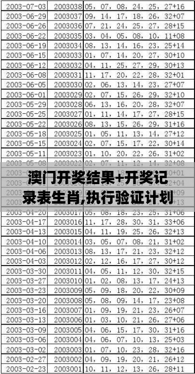 澳门开奖结果+开奖记录表生肖,执行验证计划_VZR3.6