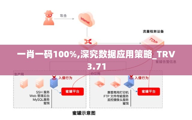 一肖一码100%,深究数据应用策略_TRV3.71