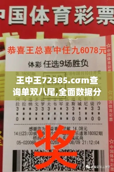 王中王72385.cσm查询单双八尾,全面数据分析_BHY3.99