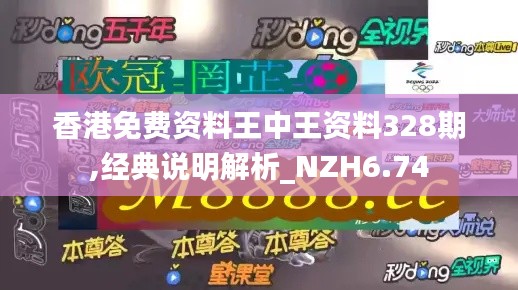 香港免费资料王中王资料328期,经典说明解析_NZH6.74