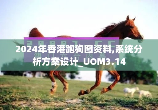 2024年香港跑狗图资料,系统分析方案设计_UOM3.14