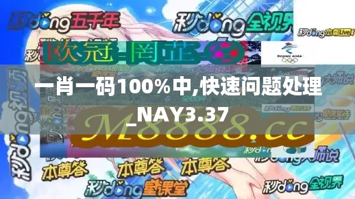 一肖一码100%中,快速问题处理_NAY3.37