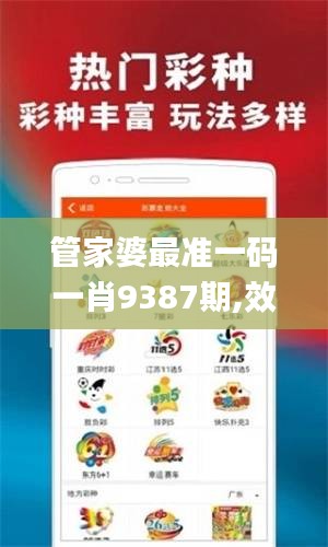 管家婆最准一码一肖9387期,效率评估方案_KNM3.70