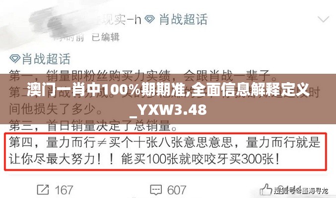 澳门一肖中100%期期准,全面信息解释定义_YXW3.48