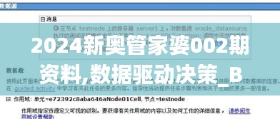 2024新奥管家婆002期资料,数据驱动决策_BKB3.22