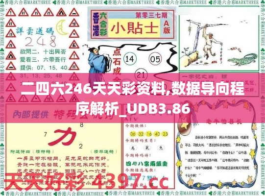 二四六246天天彩资料,数据导向程序解析_UDB3.86