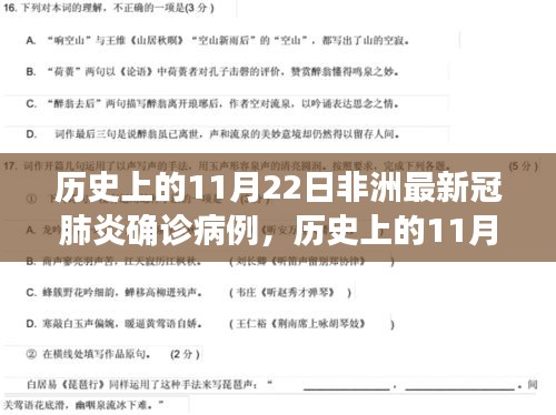 历史上的11月22日非洲新冠肺炎确诊病例深度分析与评测报告