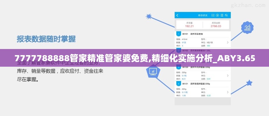 7777788888管家精准管家婆免费,精细化实施分析_ABY3.65