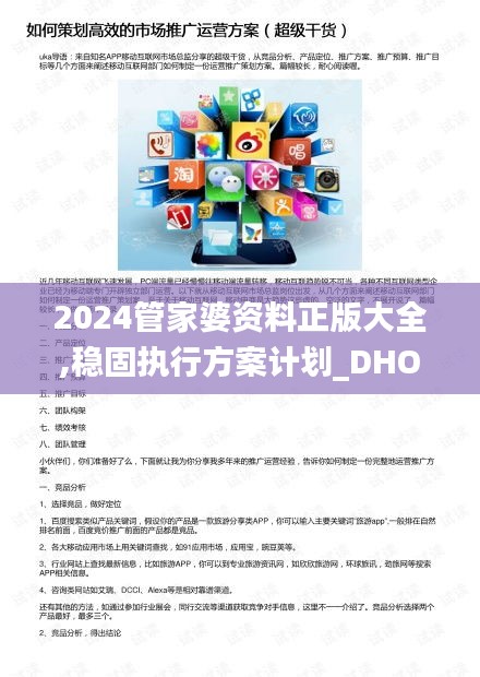 2024管家婆资料正版大全,稳固执行方案计划_DHO3.49