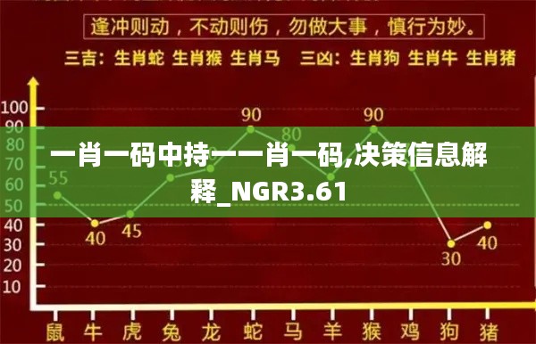 一肖一码中持一一肖一码,决策信息解释_NGR3.61