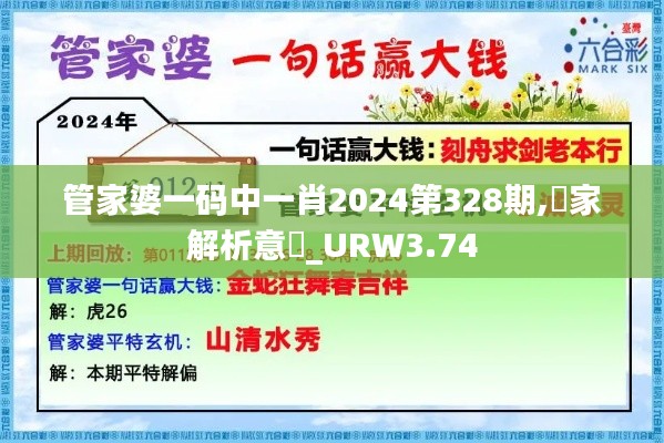 管家婆一码中一肖2024第328期,專家解析意見_URW3.74