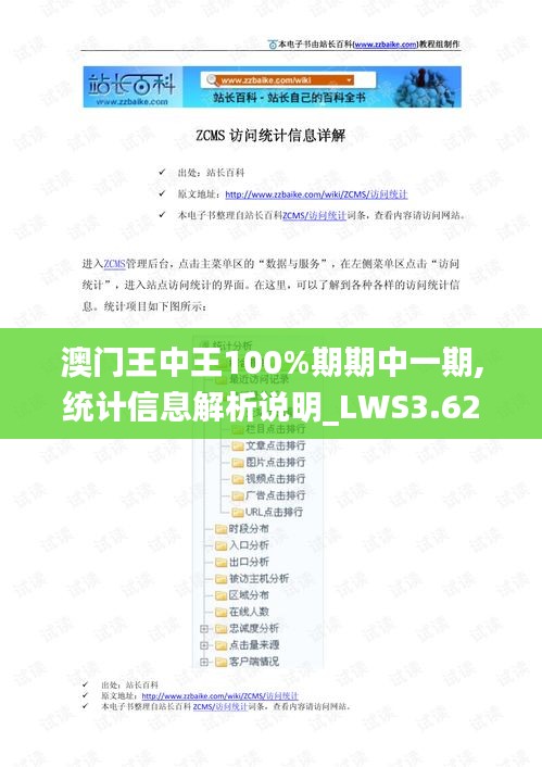 澳门王中王100%期期中一期,统计信息解析说明_LWS3.62