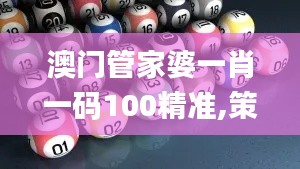 澳门管家婆一肖一码100精准,策略规划_QAH3.30