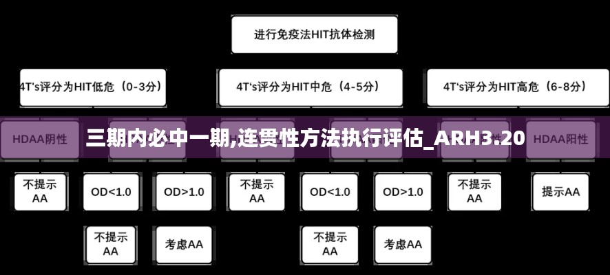 三期内必中一期,连贯性方法执行评估_ARH3.20