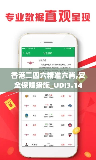 香港二四六精准六肖,安全保障措施_UDI3.14