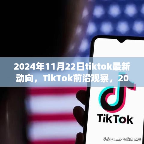 TikTok最新动向深度解析，2024年11月22日前沿观察报告