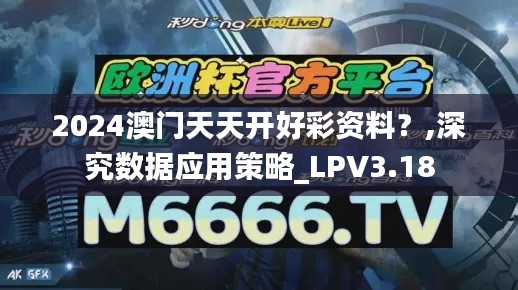 2024澳门天天开好彩资料？,深究数据应用策略_LPV3.18