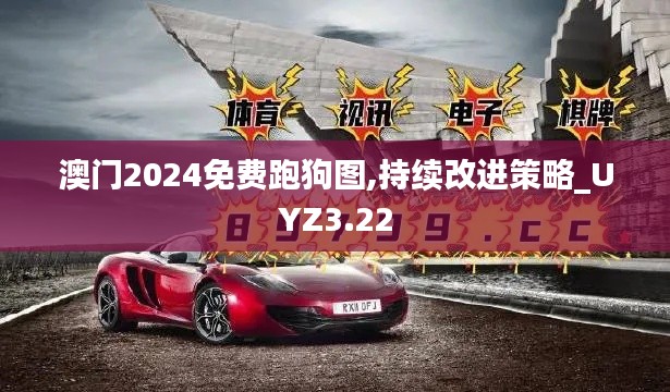 澳门2024免费跑狗图,持续改进策略_UYZ3.22