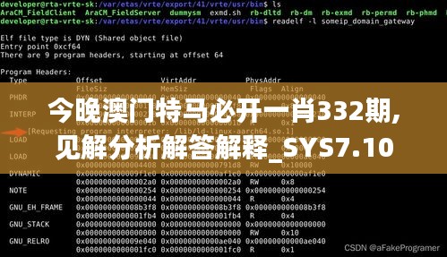 今晚澳门特马必开一肖332期,见解分析解答解释_SYS7.10