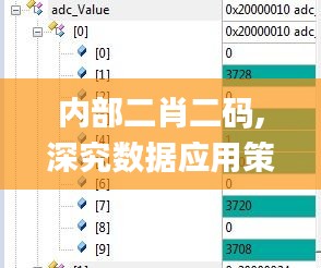 内部二肖二码,深究数据应用策略_WJN3.93