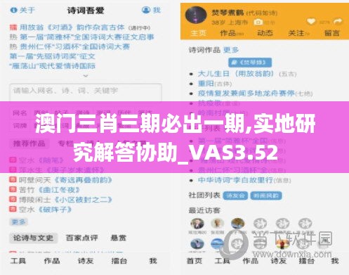 澳门三肖三期必出一期,实地研究解答协助_VAS3.52