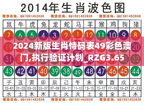 2024新版生肖恃码表49彩色澳门,执行验证计划_RZG3.65