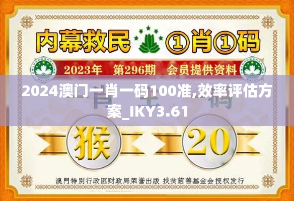 2024澳门一肖一码100准,效率评估方案_IKY3.61