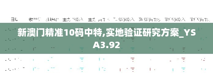 新澳门精准10码中特,实地验证研究方案_YSA3.92