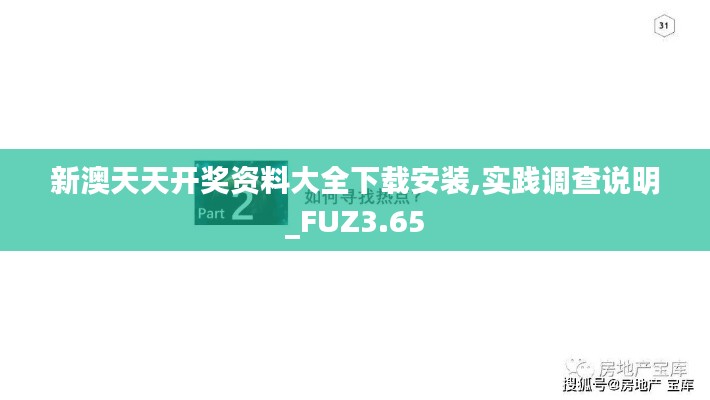 新澳天天开奖资料大全下载安装,实践调查说明_FUZ3.65