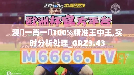 澳門一肖一碼100%精准王中王,实时分析处理_GRZ3.43