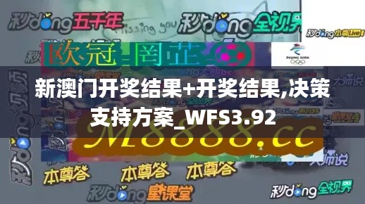 新澳门开奖结果+开奖结果,决策支持方案_WFS3.92