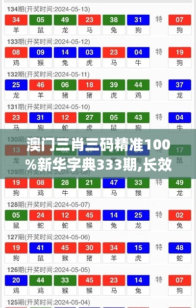 澳门三肖三码精准100%新华字典333期,长效性的落实方案_CGM8.73