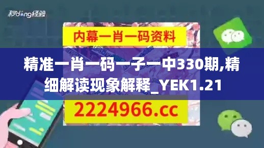 精准一肖一码一子一中330期,精细解读现象解释_YEK1.21