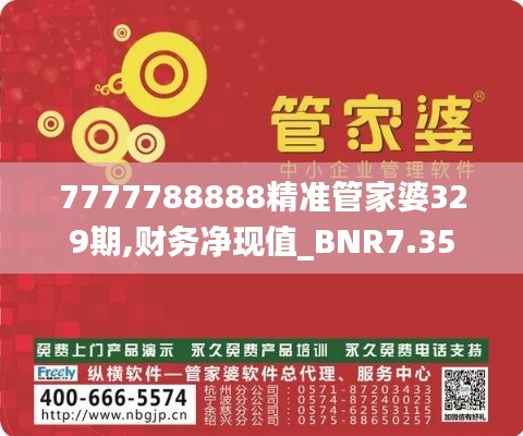 7777788888精准管家婆329期,财务净现值_BNR7.35