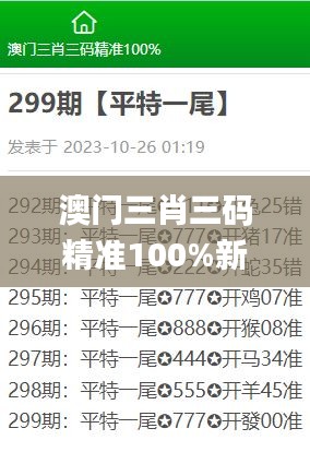 澳门三肖三码精准100%新华字典328期,数据导向解析计划_WZL3.53