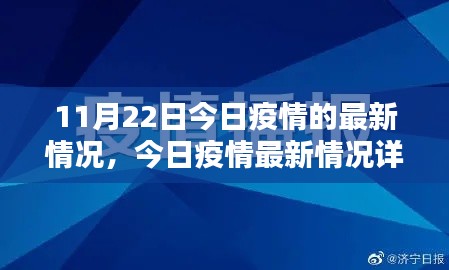 11月22日疫情最新动态与防护行动指南，今日疫情详解