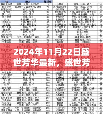 盛世芳华之家，最新日常温馨纪实（2024年11月22日）