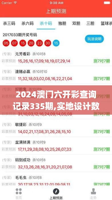 2024澳门六开彩查询记录335期,实地设计数据分析_VYF9.24