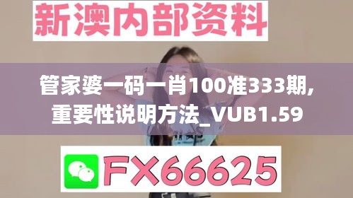 管家婆一码一肖100准333期,重要性说明方法_VUB1.59