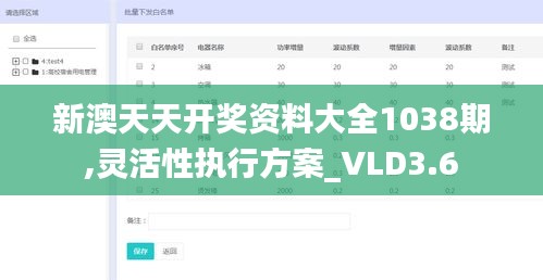 新澳天天开奖资料大全1038期,灵活性执行方案_VLD3.6