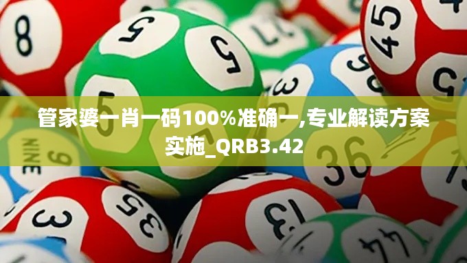 管家婆一肖一码100%准确一,专业解读方案实施_QRB3.42