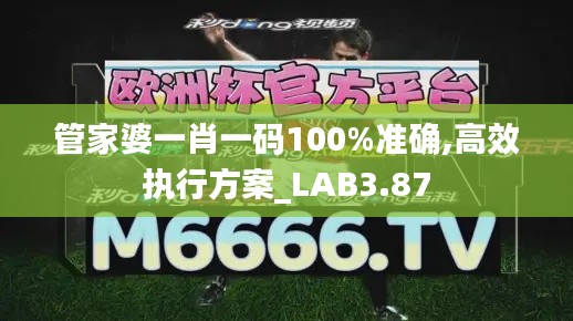 管家婆一肖一码100%准确,高效执行方案_LAB3.87