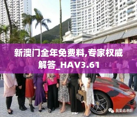 新澳门全年免费料,专家权威解答_HAV3.61