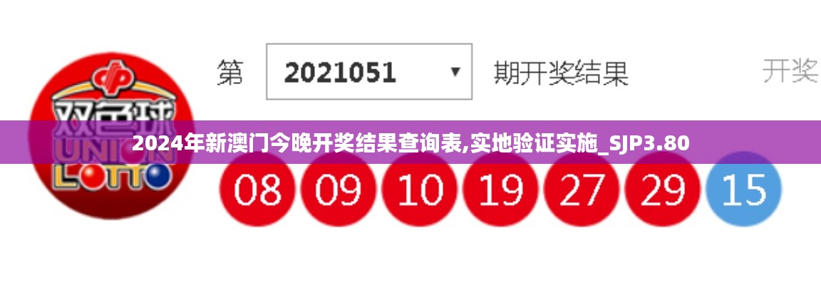 2024年新澳门今晚开奖结果查询表,实地验证实施_SJP3.80