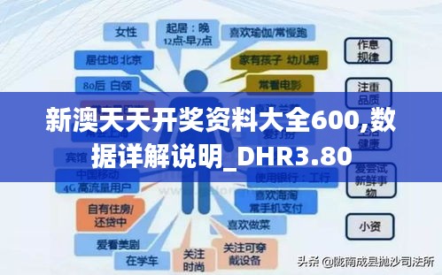 新澳天天开奖资料大全600,数据详解说明_DHR3.80