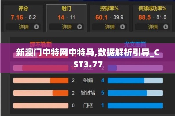 新澳门中特网中特马,数据解析引导_CST3.77