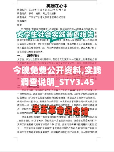 今晚免费公开资料,实践调查说明_STY3.45